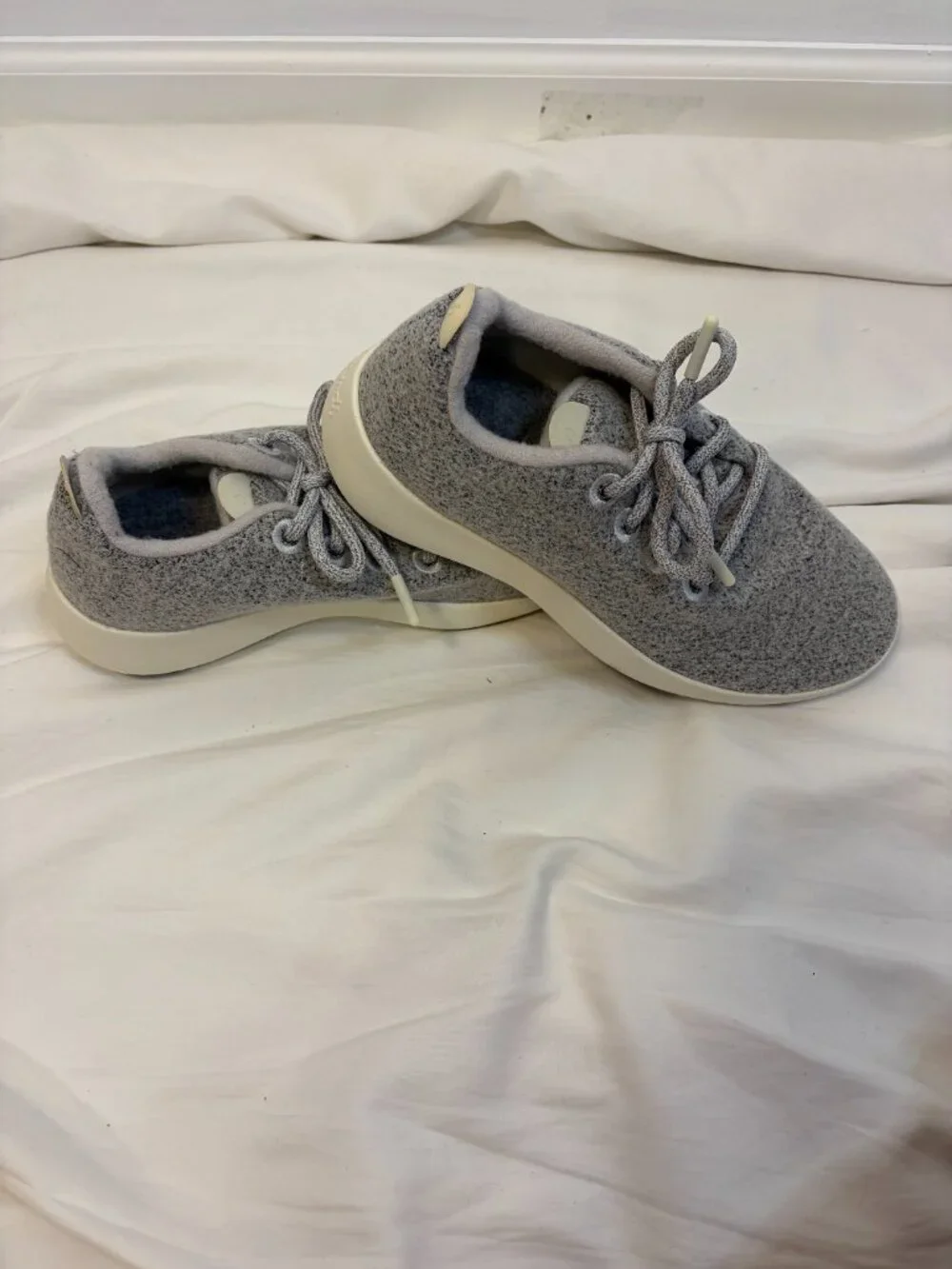 allbirds these wool